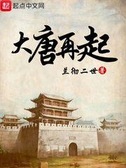 官场:从一等功臣到省委书记