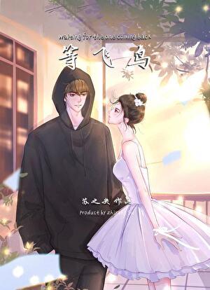 等飞鸟[破镜重圆]